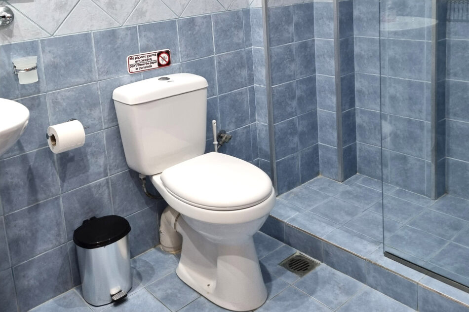 Modern toilet and clean shower.