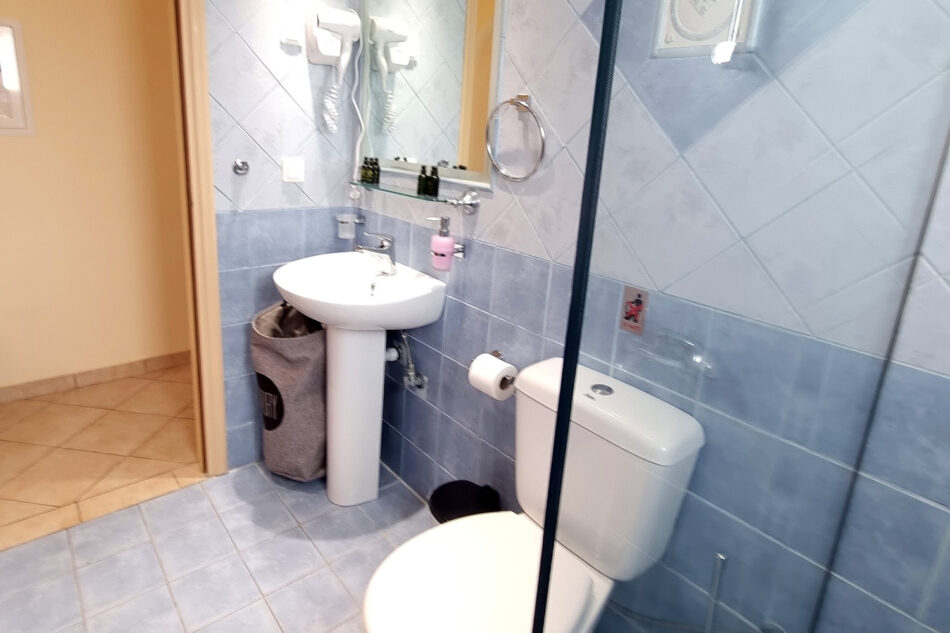 Shower and WC amenities